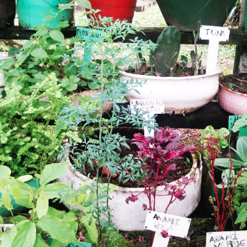 Screen Shot 2020-04-09 at 8.27.04 p.m.